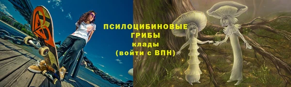героин Алексин
